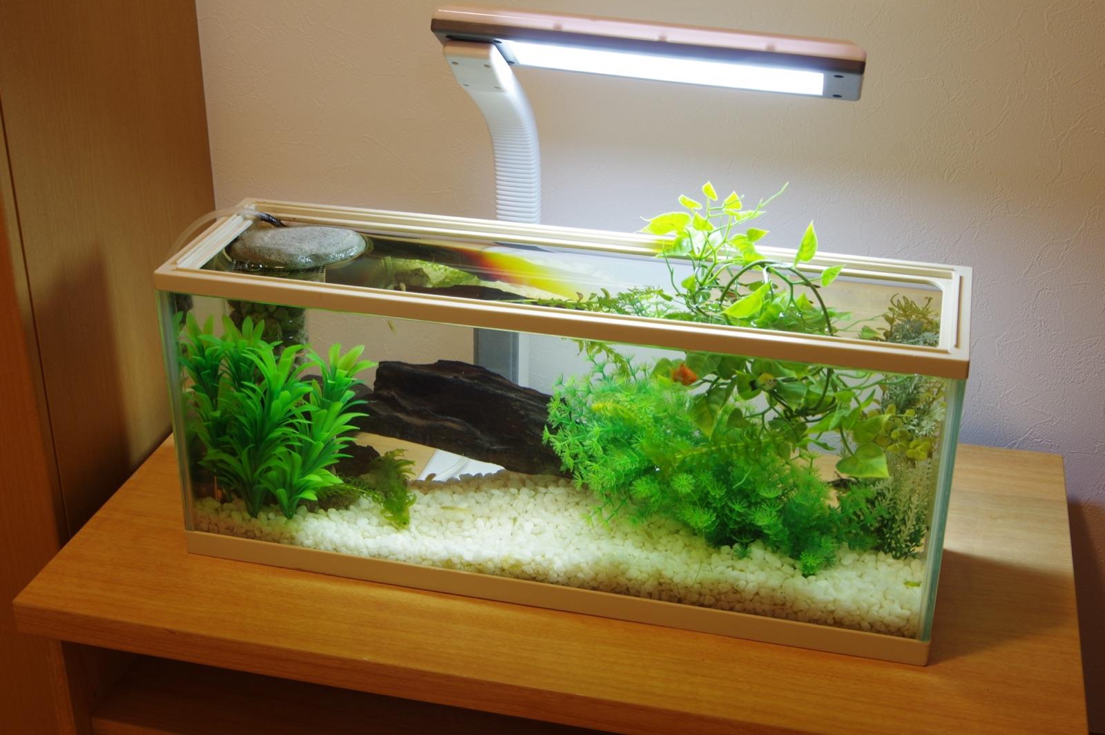 水槽の回収